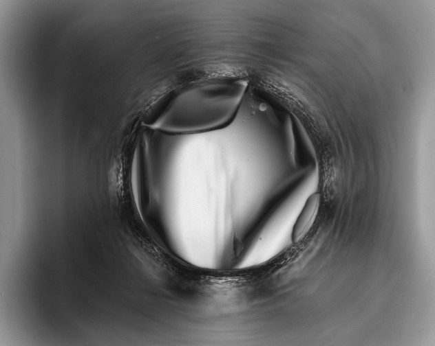 X0000095930268200802011027