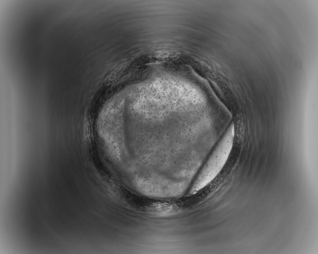 X0000095930272200802011027