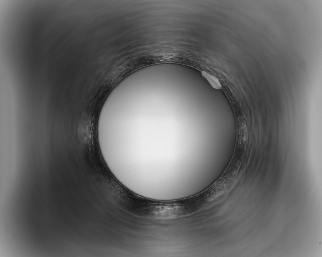 X0000095930274200802011027