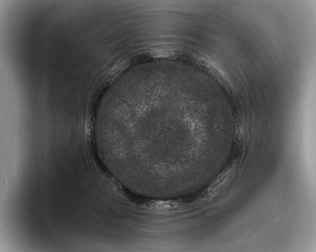 X0000095930277200802011027