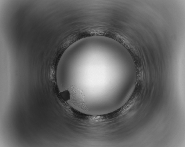 X0000095930281200802011027
