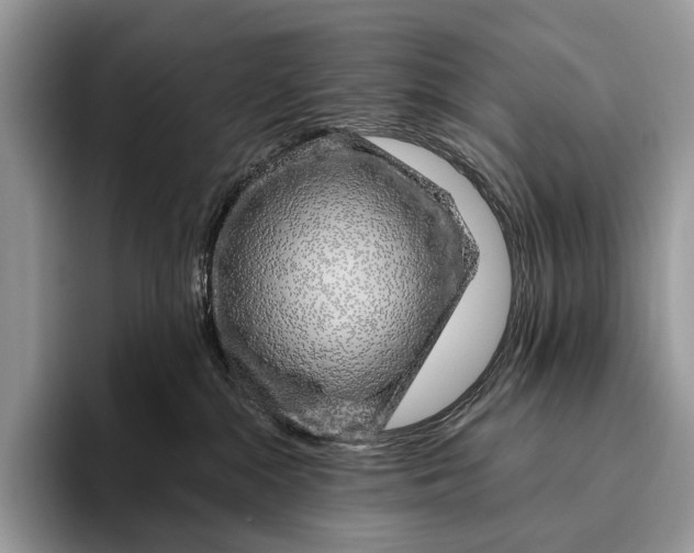 X0000095930284200802011027