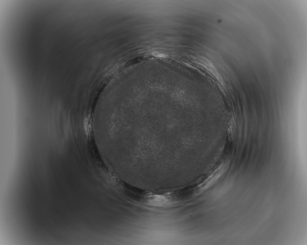X0000095930285200802011027