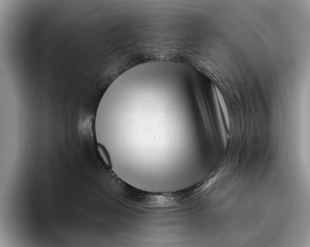 X0000095930286200802011027