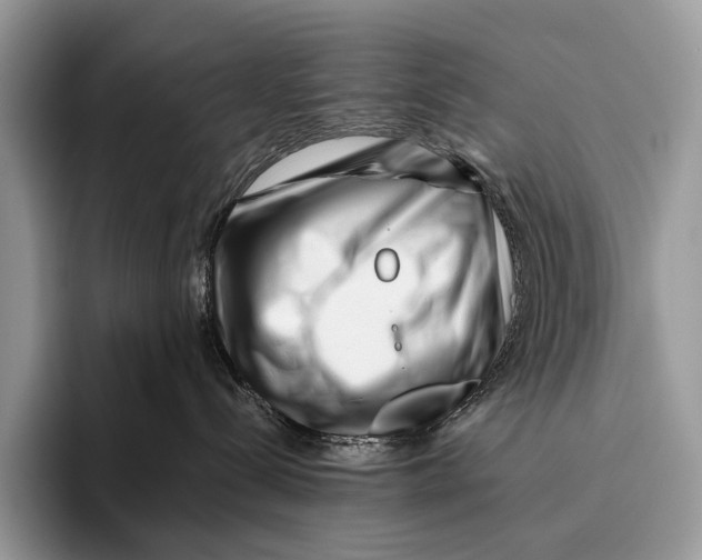 X0000095930288200802011027