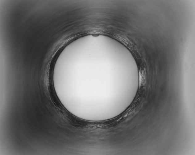 X0000095930291200802011026