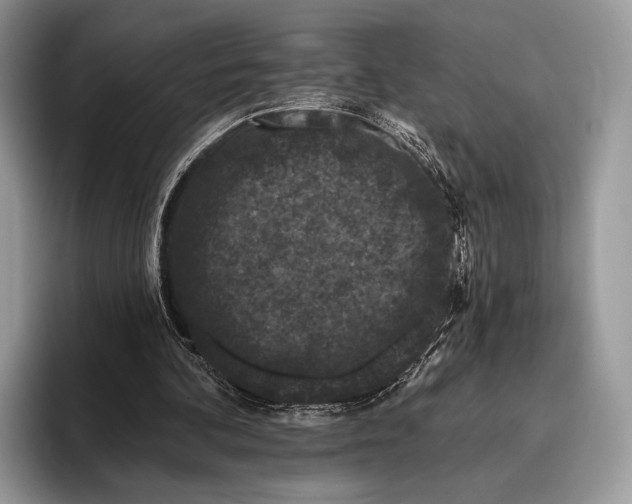 X0000095930292200802011026