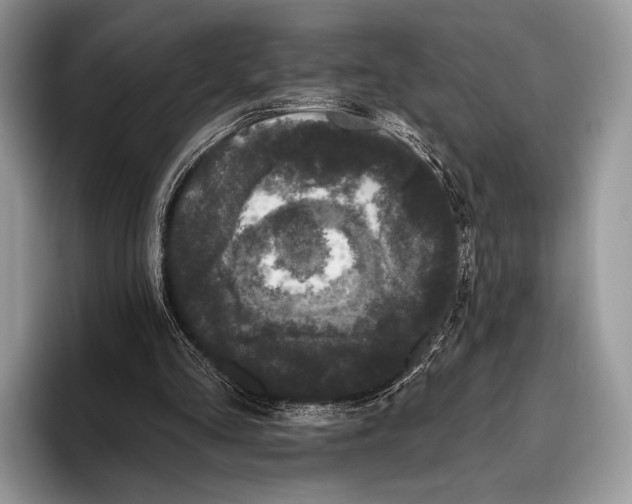X0000095930293200802011026