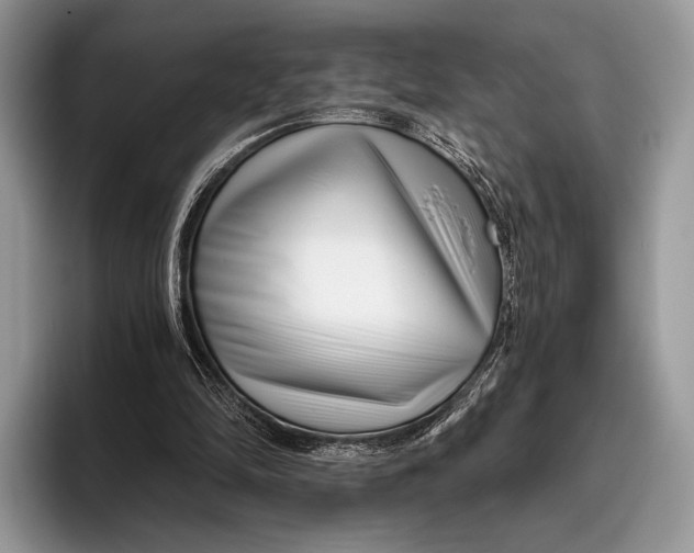 X0000095930294200802011026