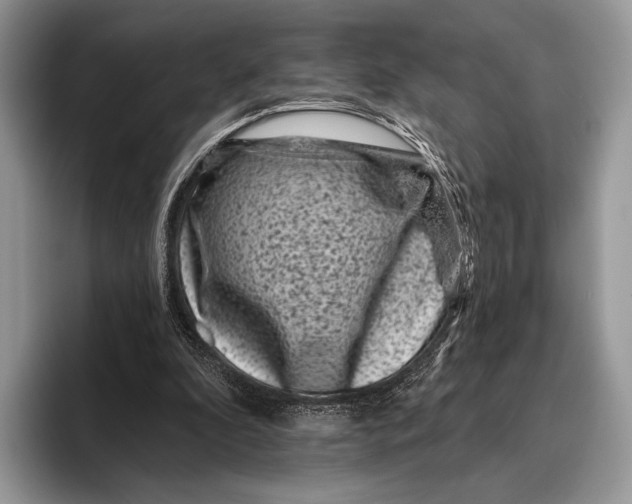 X0000095930296200802011026