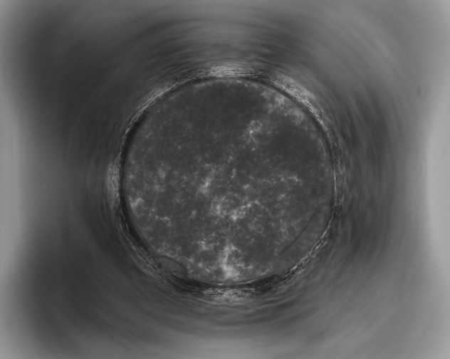 X0000095930297200802011026