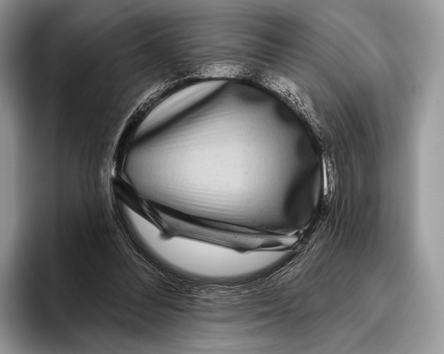 X0000095930300200802011026
