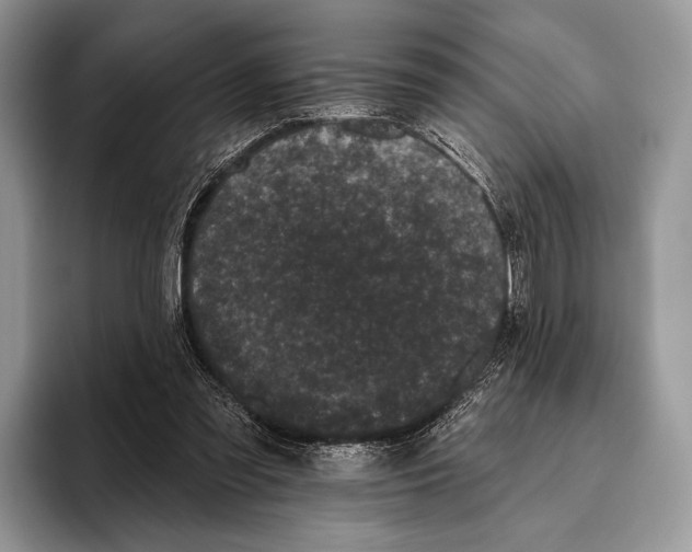X0000095930301200802011026