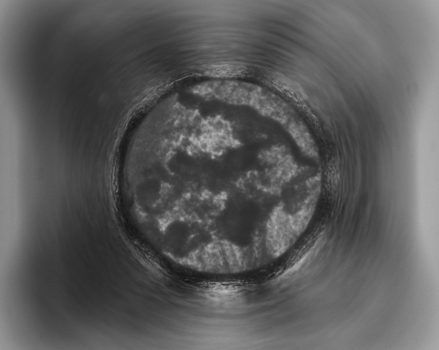 X0000095930303200802011026