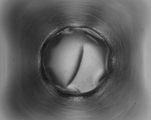 X0000095930304200802011026