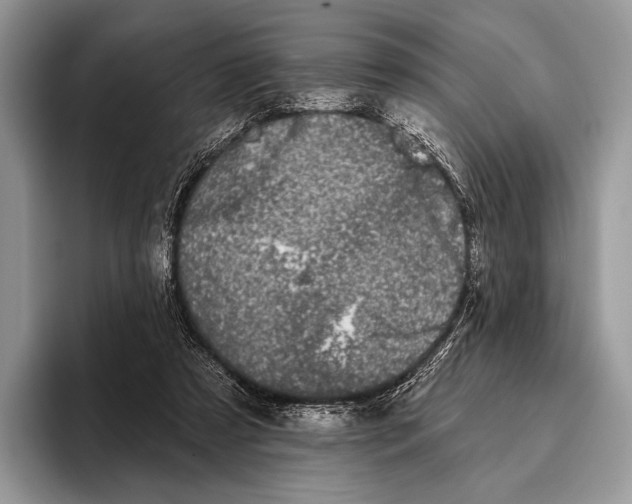 X0000095930305200802011026