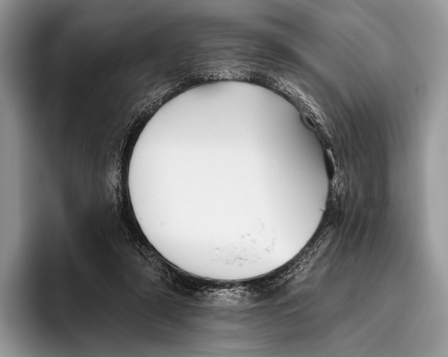 X0000095930306200802011026