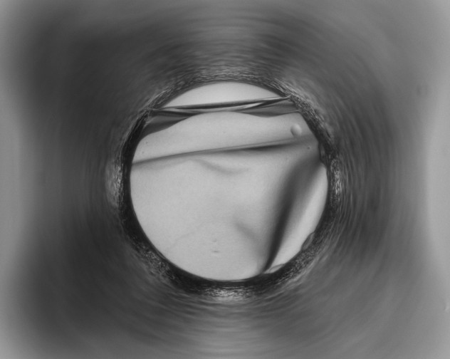 X0000095930308200802011026