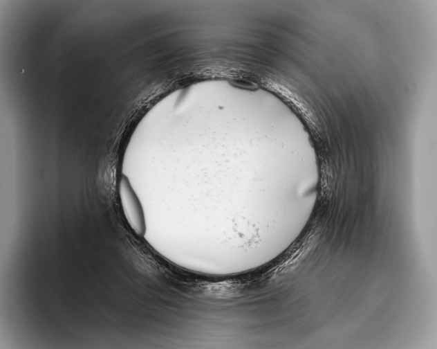 X0000095930309200802011026