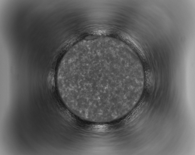 X0000095930313200802011026