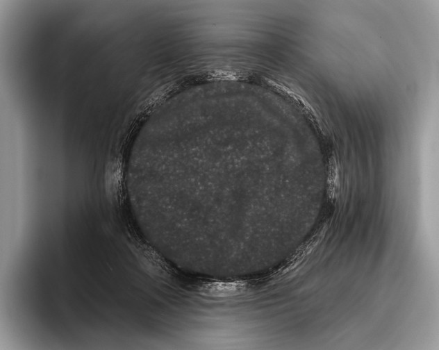 X0000095930314200802011026