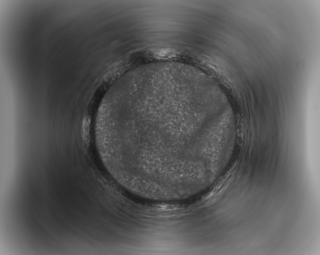 X0000095930319200802011026