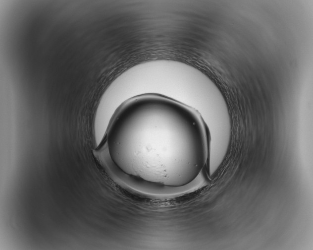 X0000095930320200802011026