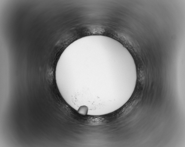X0000095930321200802011026