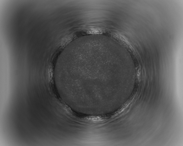 X0000095930322200802011026