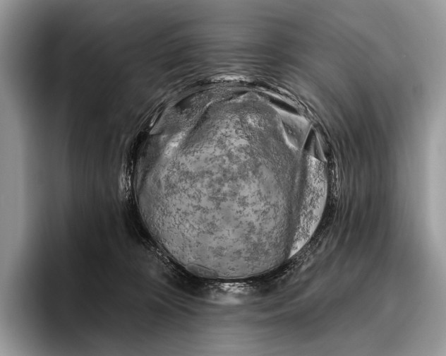 X0000095930324200802011026