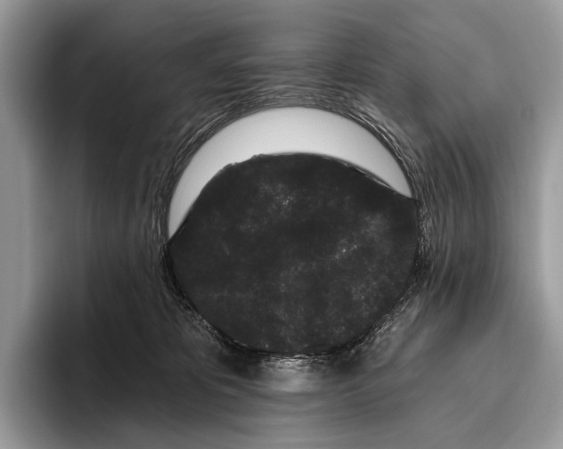 X0000095930325200802011026