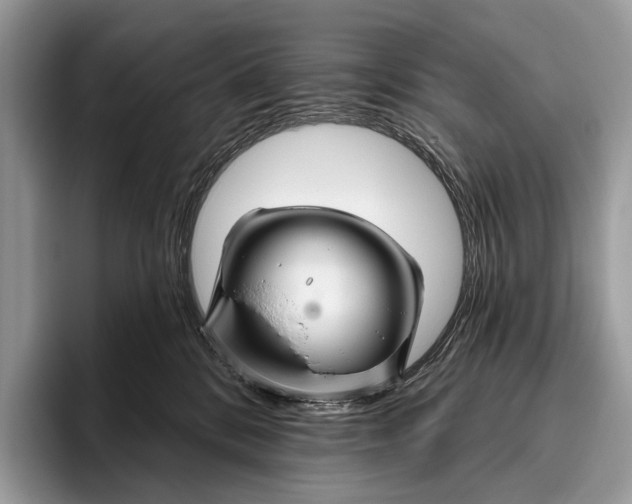 X0000095930328200802011026
