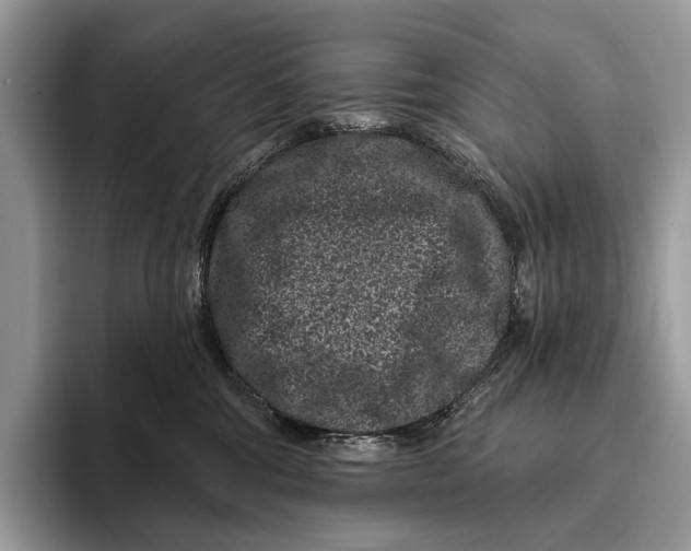 X0000095930330200802011026