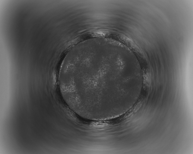 X0000095930331200802011026