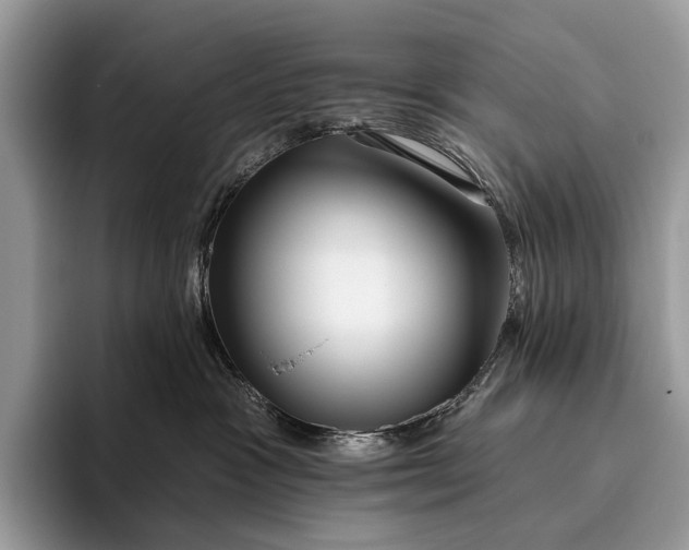 X0000095930333200802011026