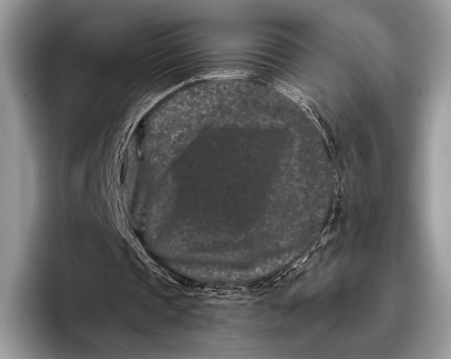 X0000095930337200802011025