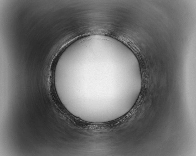 X0000095930338200802011025