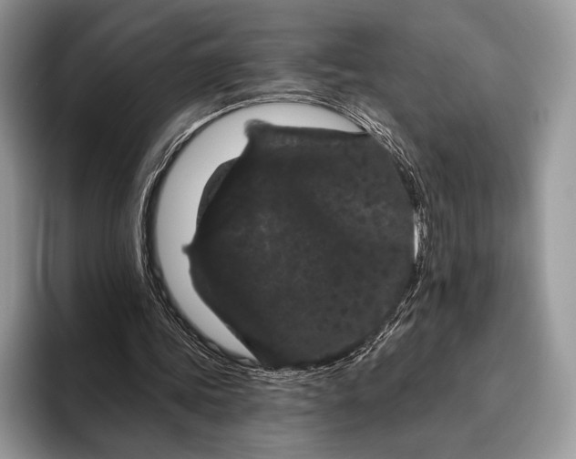 X0000095930339200802011025