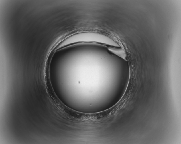 X0000095930340200802011025