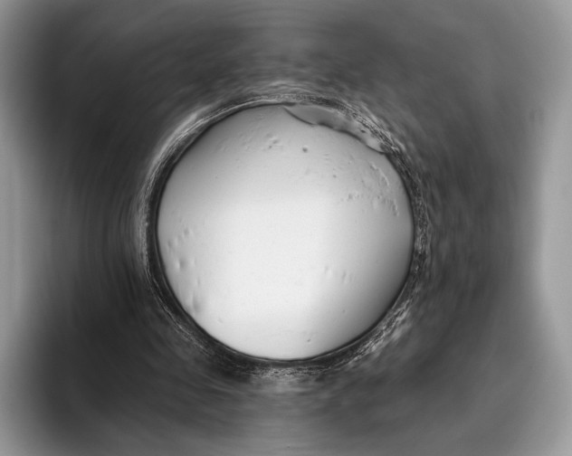 X0000095930341200802011025