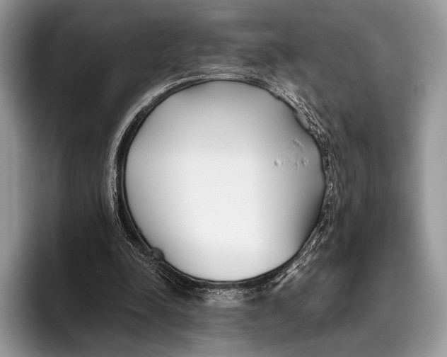 X0000095930342200802011025