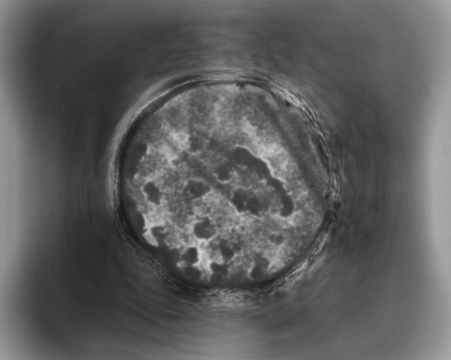 X0000095930343200802011025