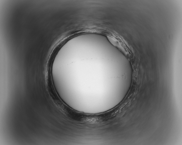 X0000095930344200802011025