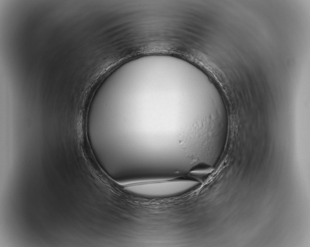 X0000095930345200802011025
