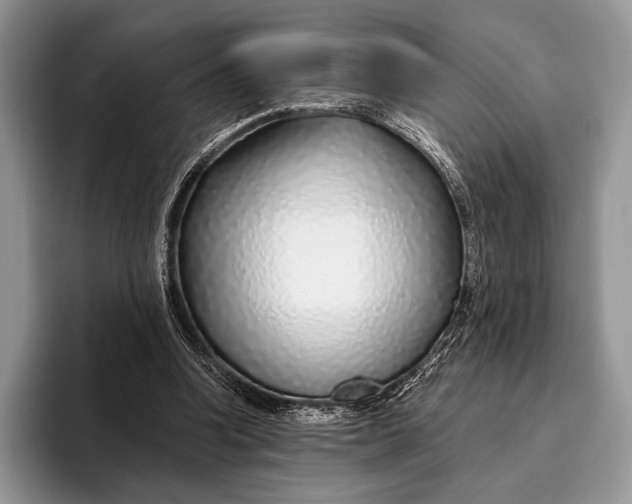 X0000095930346200802011025