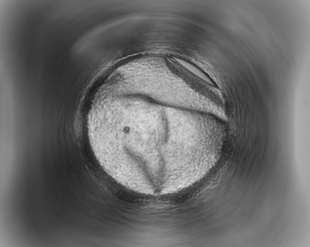 X0000095930347200802011025