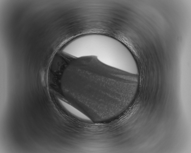 X0000095930348200802011025