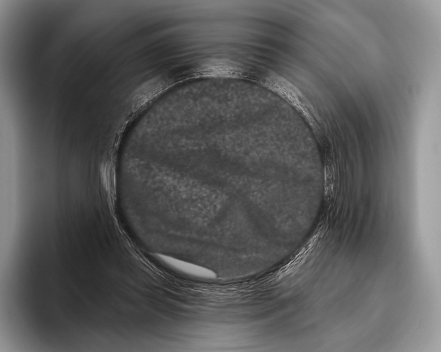 X0000095930349200802011025