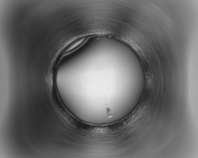 X0000095930350200802011025