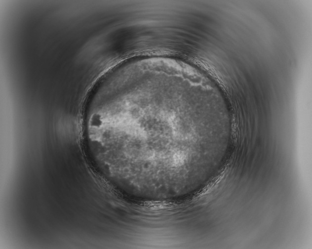 X0000095930351200802011025